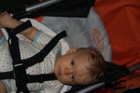 IMG_7231.JPG